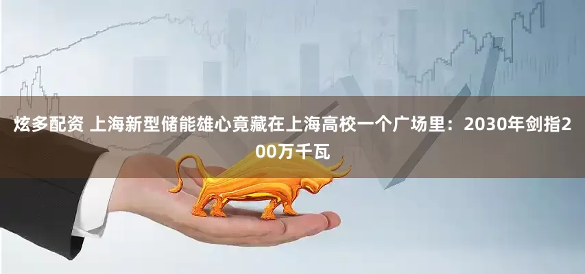 炫多配资 上海新型储能雄心竟藏在上海高校一个广场里：2030年剑指200万千瓦
