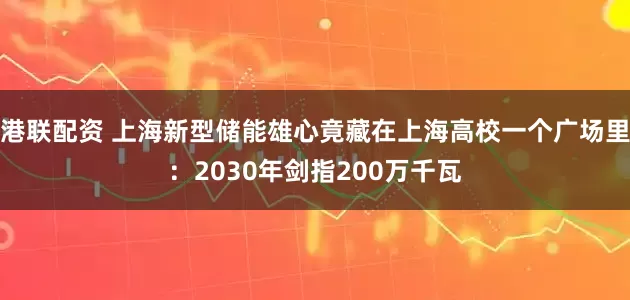 港联配资 上海新型储能雄心竟藏在上海高校一个广场里：2030年剑指200万千瓦