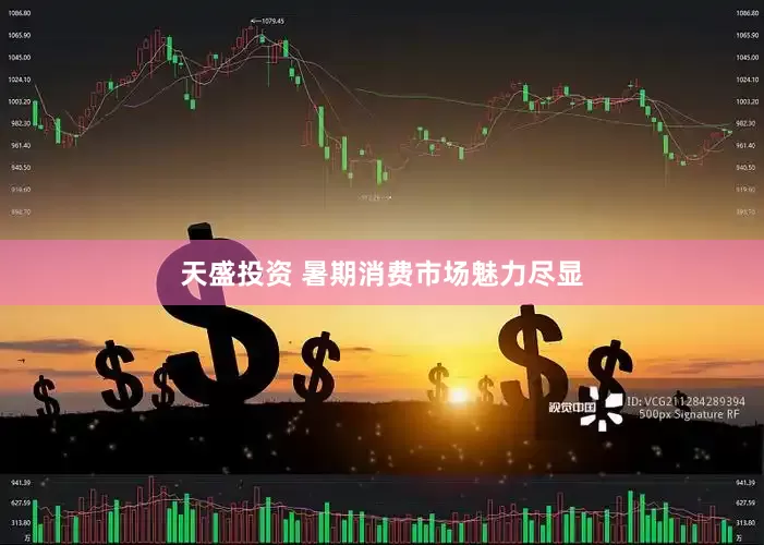 天盛投资 暑期消费市场魅力尽显