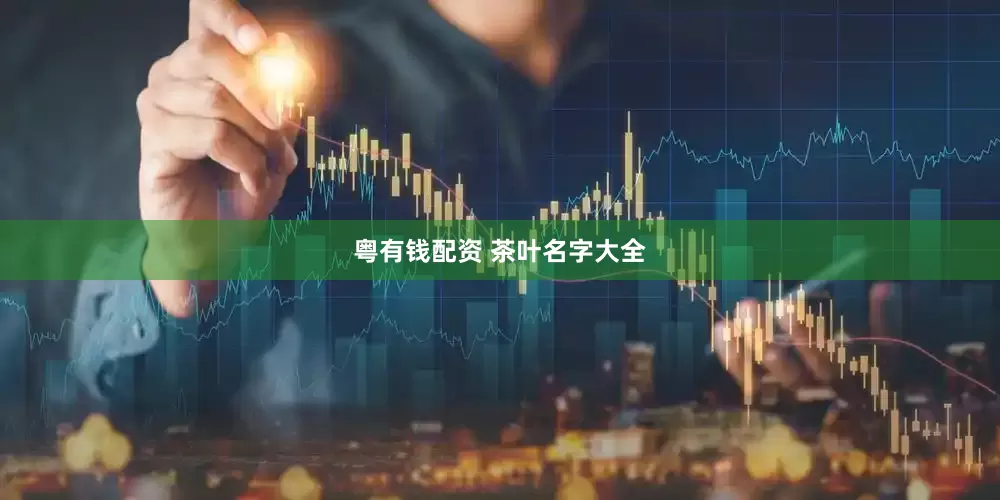 粤有钱配资 茶叶名字大全