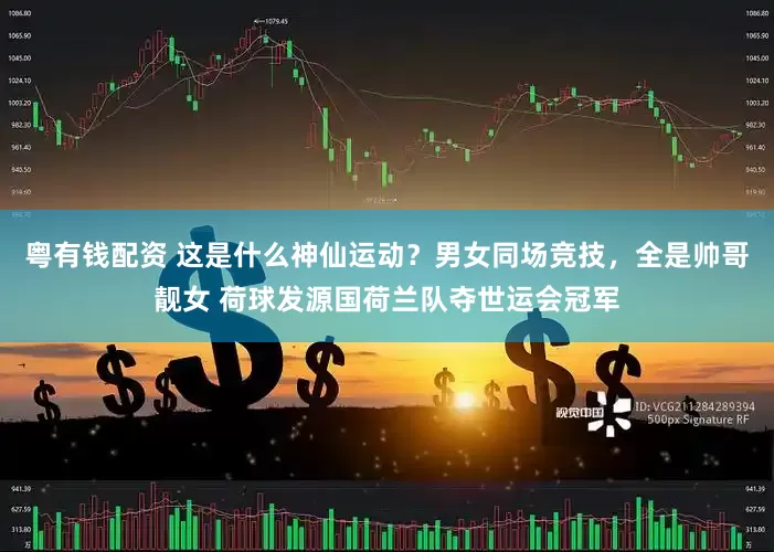 粤有钱配资 这是什么神仙运动？男女同场竞技，全是帅哥靓女 荷球发源国荷兰队夺世运会冠军