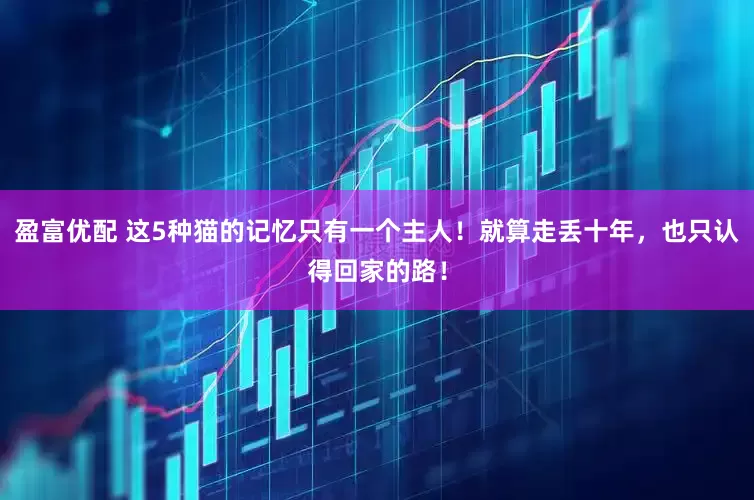 盈富优配 这5种猫的记忆只有一个主人！就算走丢十年，也只认得回家的路！