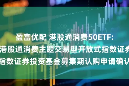 盈富优配 港股通消费50ETF: 关于汇添富国证港股通消费主题交易型开放式指数证券投资基金募集期认购申请确认比例的公告